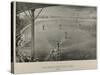 Boston Baseball Club 1888-George H. Hastings-Stretched Canvas