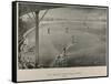 Boston Baseball Club 1888-George H. Hastings-Framed Stretched Canvas