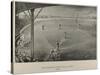 Boston Baseball Club 1888-George H. Hastings-Stretched Canvas