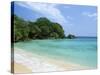 Boston Beach, Port Antonio, Jamaica, West Indies, Central America-Sergio Pitamitz-Stretched Canvas