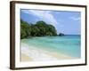 Boston Beach, Port Antonio, Jamaica, West Indies, Central America-Sergio Pitamitz-Framed Photographic Print