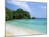 Boston Beach, Port Antonio, Jamaica, West Indies, Central America-Sergio Pitamitz-Mounted Photographic Print