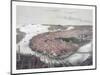 Boston Bird's Eye View from the North, Circa 1877, USA, America-John Bachmann-Mounted Giclee Print