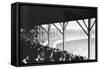 Boston Braves vs. NY Giants, Baseball Photo - New York, NY-Lantern Press-Framed Stretched Canvas