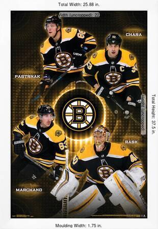 Boston Bruins (Sports Team)