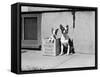 Boston Bulldog and Puppy-Philip Gendreau-Framed Stretched Canvas