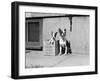 Boston Bulldog and Puppy-Philip Gendreau-Framed Photographic Print