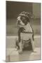 Boston Bulldog in Renaissance Cap-null-Mounted Art Print