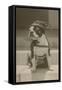 Boston Bulldog in Renaissance Cap-null-Framed Stretched Canvas