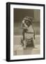 Boston Bulldog in Renaissance Cap-null-Framed Art Print