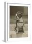 Boston Bulldog in Renaissance Cap-null-Framed Art Print