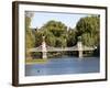 Boston Common, Boston, Massachusetts, New England, USA-null-Framed Photographic Print