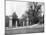 Boston Common, Boston, Massachusetts, USA, 1893-John L Stoddard-Mounted Giclee Print