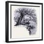 Boston Common Boston United States of America-null-Framed Giclee Print