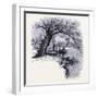 Boston Common Boston United States of America-null-Framed Giclee Print