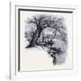 Boston Common Boston United States of America-null-Framed Giclee Print