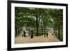 Boston Common, Massachusetts-null-Framed Art Print