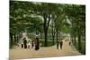 Boston Common, Massachusetts-null-Mounted Art Print