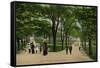 Boston Common, Massachusetts-null-Framed Stretched Canvas