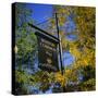 Boston Common Sign, Boston Common, Massachusetts, New England, USA-Roy Rainford-Stretched Canvas