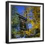 Boston Common Sign, Boston Common, Massachusetts, New England, USA-Roy Rainford-Framed Photographic Print