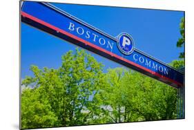 Boston Commons, Boston, Massachussetts-null-Mounted Photographic Print