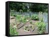 Boston Community Garden-EricBVD-Framed Stretched Canvas