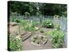 Boston Community Garden-EricBVD-Stretched Canvas