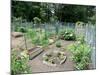 Boston Community Garden-EricBVD-Mounted Photographic Print