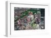 Boston Downtown Aerial View with Historical Architecture, Street and City Skyline.-Songquan Deng-Framed Photographic Print