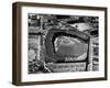 Boston: Fenway Park-null-Framed Giclee Print