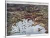 Boston Harbor 1905 Anniversary of Tea Party-Vintage Lavoie-Stretched Canvas