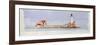 Boston Harbour, 1997-Andras Kaldor-Framed Premium Giclee Print