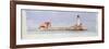 Boston Harbour, 1997-Andras Kaldor-Framed Premium Giclee Print