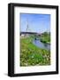 Boston Leonard P. Zakim Bunker Hill Memorial Bridge with Blue Sky in Park with Flower as the Famous-Songquan Deng-Framed Photographic Print