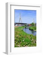 Boston Leonard P. Zakim Bunker Hill Memorial Bridge with Blue Sky in Park with Flower as the Famous-Songquan Deng-Framed Photographic Print