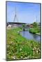 Boston Leonard P. Zakim Bunker Hill Memorial Bridge with Blue Sky in Park with Flower as the Famous-Songquan Deng-Mounted Photographic Print