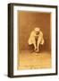 Boston, MA, Boston Beaneaters, Kid Nichols, Baseball Card-Lantern Press-Framed Art Print