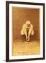 Boston, MA, Boston Beaneaters, Kid Nichols, Baseball Card-Lantern Press-Framed Art Print