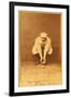 Boston, MA, Boston Beaneaters, Kid Nichols, Baseball Card-Lantern Press-Framed Art Print