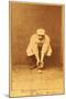 Boston, MA, Boston Beaneaters, Kid Nichols, Baseball Card-Lantern Press-Mounted Art Print