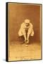 Boston, MA, Boston Beaneaters, Kid Nichols, Baseball Card-Lantern Press-Framed Stretched Canvas