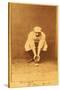 Boston, MA, Boston Beaneaters, Kid Nichols, Baseball Card-Lantern Press-Stretched Canvas