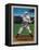 Boston, MA, Boston Red Sox, Tris Speaker, Baseball Card-Lantern Press-Framed Stretched Canvas