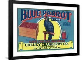 Boston, Massachusetts, Blue Parrot Brand Cape Cod Cranberry Label-Lantern Press-Framed Premium Giclee Print