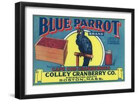 Boston, Massachusetts, Blue Parrot Brand Cape Cod Cranberry Label-Lantern Press-Framed Art Print