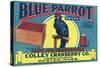 Boston, Massachusetts, Blue Parrot Brand Cape Cod Cranberry Label-Lantern Press-Stretched Canvas