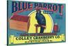 Boston, Massachusetts, Blue Parrot Brand Cape Cod Cranberry Label-Lantern Press-Stretched Canvas