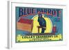 Boston, Massachusetts, Blue Parrot Brand Cape Cod Cranberry Label-Lantern Press-Framed Art Print