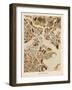 Boston Massachusetts City Street Map-Michael Tompsett-Framed Art Print